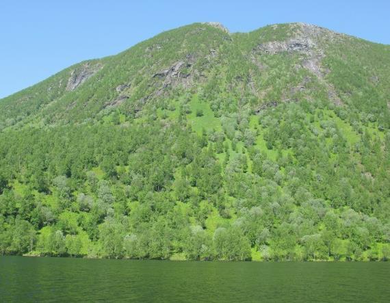 Melkevatnet, Ballangen (PKB). har skapt. Vegetasjonen i lauvskoger har i regelen et større beitepotensiale enn tilsvarende vegetasjon i gran- og furuskoger.