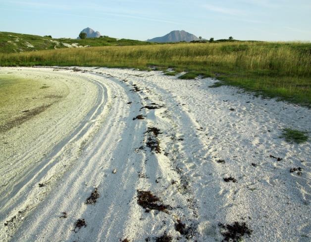 Slike finkorna rasmarker og erosjonsfelt opptrer mest i fjellet på steder med lause, skifrige bergarter. Arter: Spredte planter forekommer, bl.a. musøre og moser høgt til fjells.