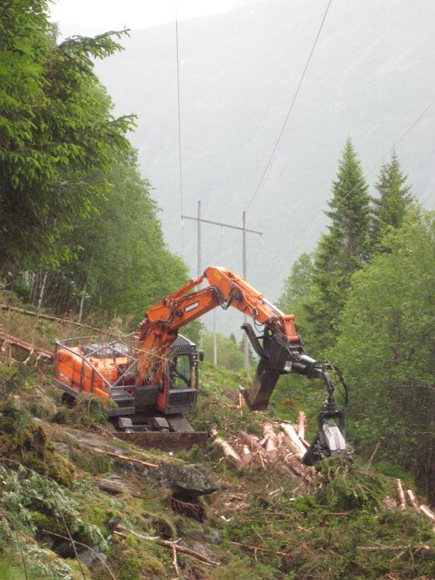 Samarbeid med skogbruket Initiere tømmerdrifter inntil linjene Tett kontakt med skogbruksleiarane Rasjonell hogst Vere samarbeidspart og