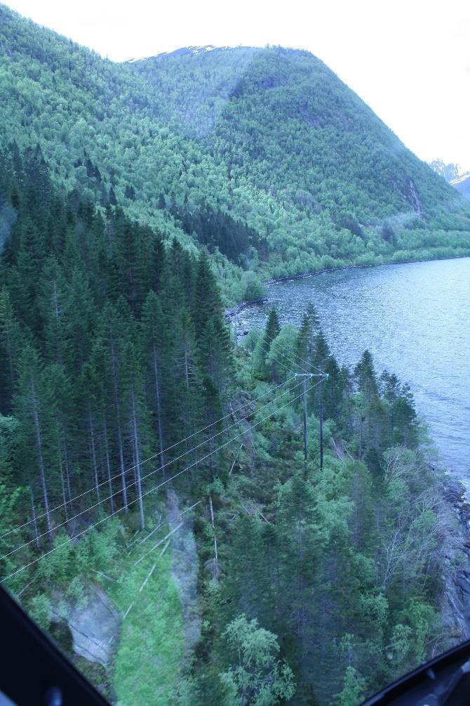 System Lavspent Underskog Gode registreringar Skogen står heilt stille - lett å kartlegge! Men husk: skogbruk foregår utendørs!