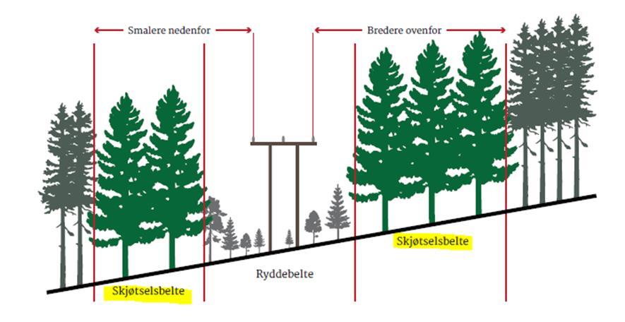 Skjøtselsbelte Ordinært ryddebelte langs linja (12-15m breidt på 22kV-linjer) Ønskelig: U-form Skjøtselsbelte èi trelengde ut