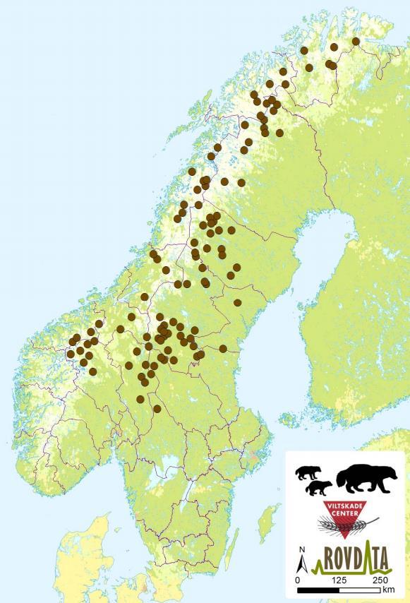 Side 7 av 10 Figur 1. Kart som viser kvalitetssikrede jerveynglinger i Skandinavia i 2016 Tabell 1.