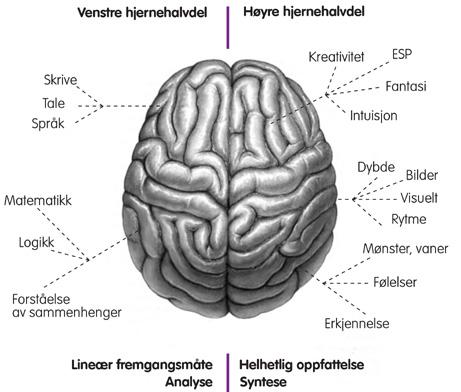 BevissthetsTrening Unique Mind ESP holder kurs, foredrag og veiledning i BevissthetsTrening. Ett viktig mål er å integrere et fokus på psykisk helse og livsmestring i samfunnet.