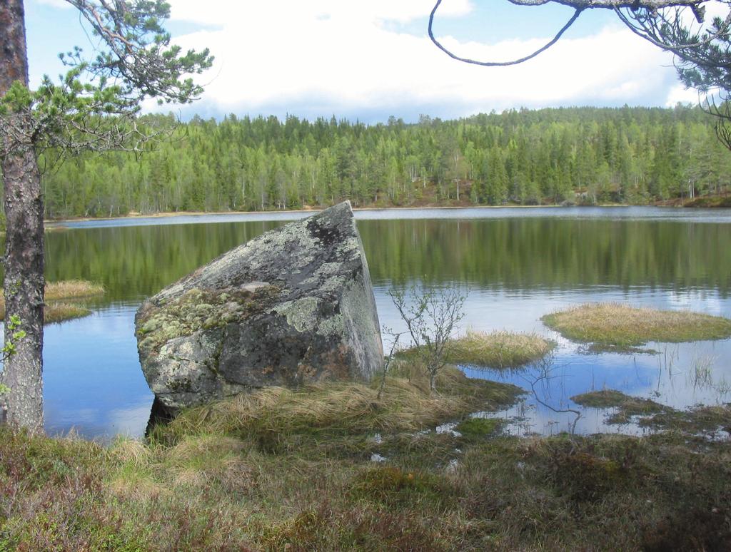 RINGERIKE ET LAG I SKOGEIERLAG