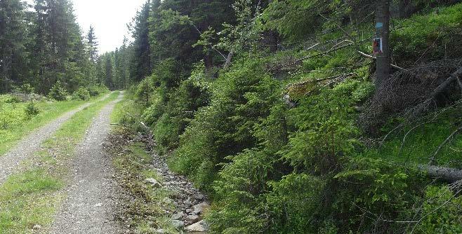 Det var her skutt bjørn rundt forrige århundreskiftet, noe Reidar Holtvedt forteller om i boken "Fra Nordmarka og Krokskogen". Vi har også en historie om Erik Gjerdingen som døde i 1908.