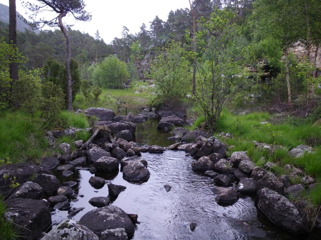 Bekken renner gjennom et område med leire og finpartikulært materiale, og i år med flom og høy vannføring kan det