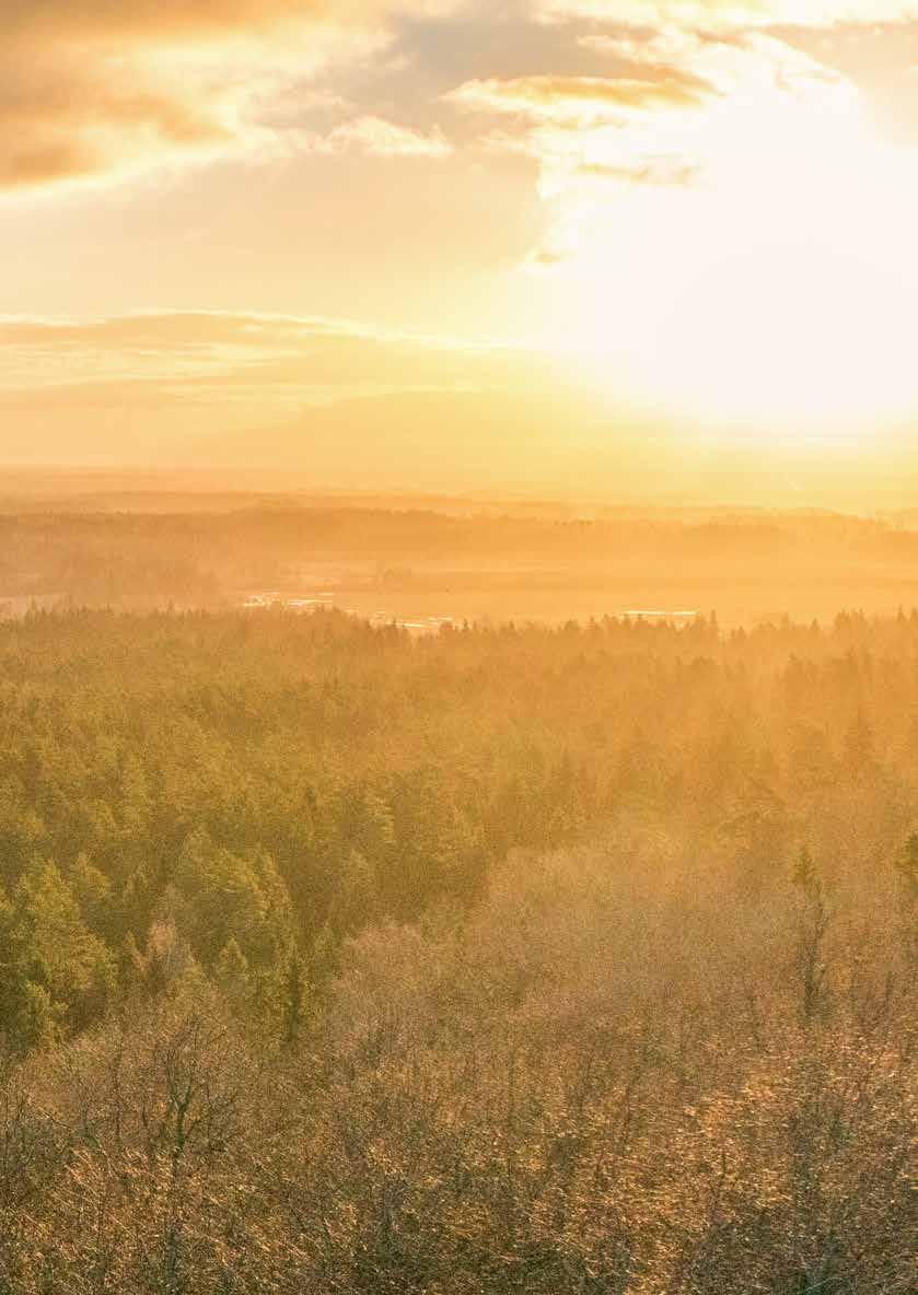 Fortsettelse fra forrige side AMEIET eksjonene/leilighetene vil danne et boligsameie, «ameiet ymoen» med et eget styre sammensatt av leiligheteseierne/seksjonseierne.