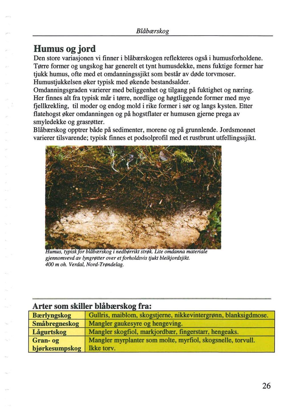 Blåbærskog Humus og jord Den store variasjonen vi finner i blåbærskogen reflekteres også i bumusforholdene.