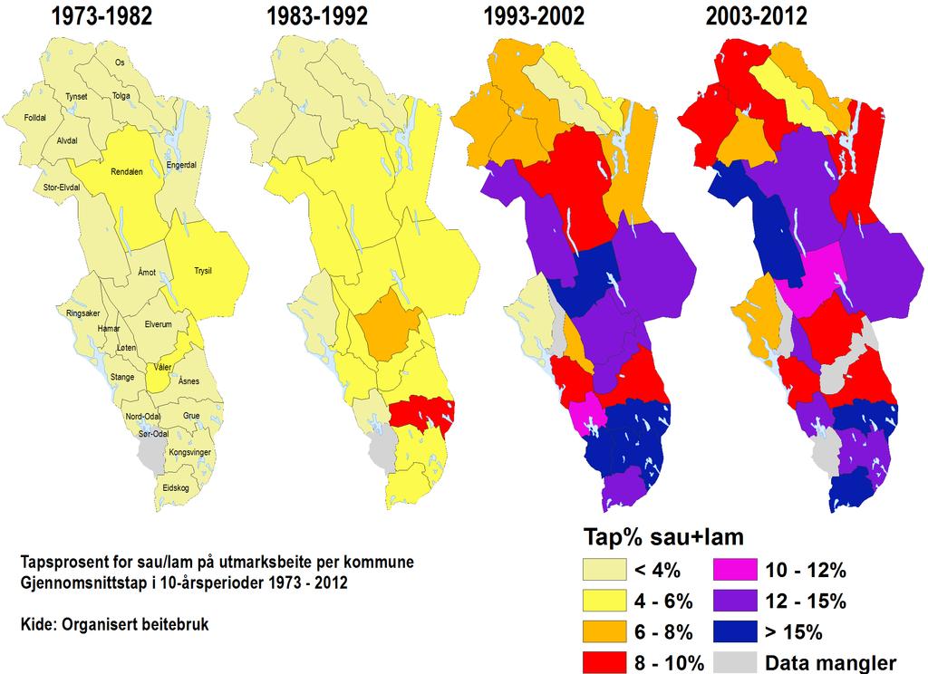 antall sau på utmarksbeite i ulvesonen reduseres rundt år 2003 jf. Figur 8 i faggrunnlaget.