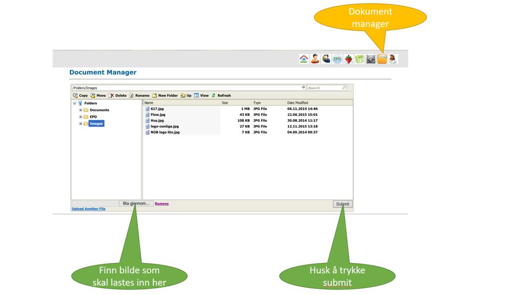 Images (Figurer): er viktig for funksjonen av verktøyet. Her legges logoer, bilder og illustrasjoner som skal inn i EPDen.