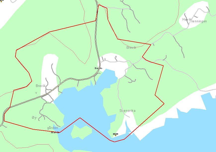 BAKGRUNN FOR PLANEN: Bakgrunn for igangsettelsen av reguleringsarbeidet er forutsetningen som ble vedtatt i kommuneplanens arealdel sak 0004/03, hvor området er vist som gjentetting til boligformål.