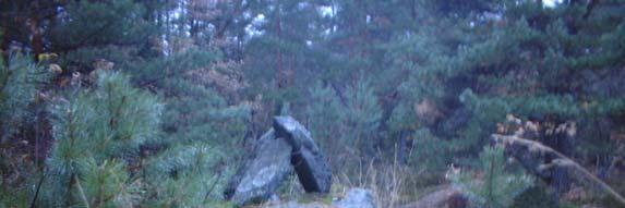 Det er registrert to gravrøyser i planområdet. Begge ligger på en bergodde syd for Olavtangskjæret. Røys 1 består av store bruddstein. Den er godt synlig fra vannet (jf. forsidefoto).