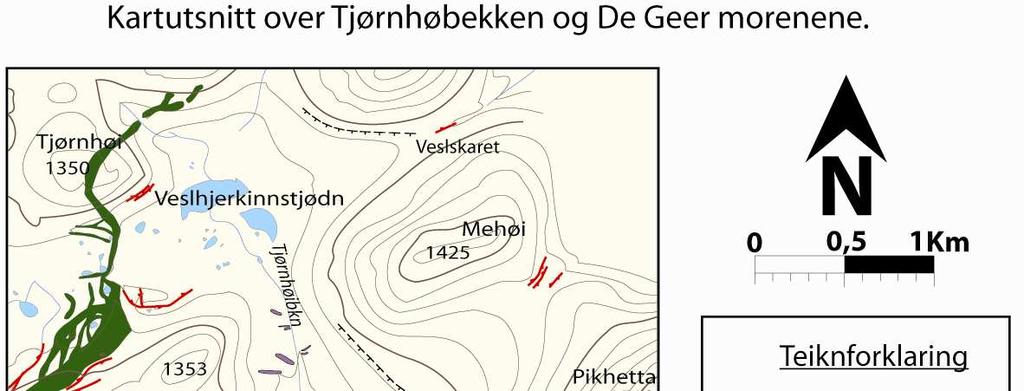Kapittel 3 Datapresentasjon og tolking 3.1.3 De Geer morene Morenerygger Tjørnbekken UTM 053168 688930, Høgde ca 1240 m o.h.