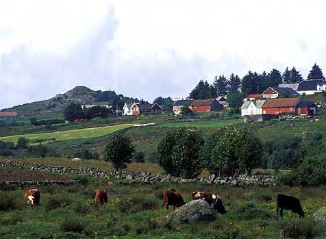 Nær Knudaheio, Time/Rogaland.