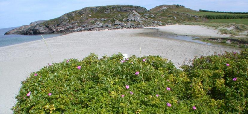 Naturmangfaldlova kom i 2009 6 pålegg alle ein generell aktsomhetsplikt: «enhver