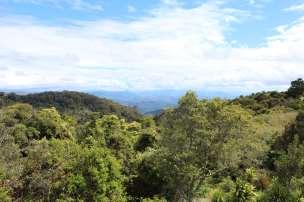 vil ta langhelg til Noosa eller Gold Coast, jeg gjorde det og fikk