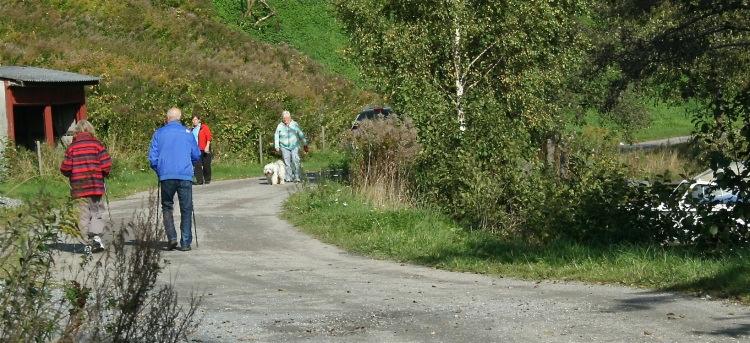 Helse- og omsorg KOMMUNALAVDELINEGNS OVERODNEDE MÅLSETTING FOR DRIFTEN; Forhold i lokalsamfunnet: I Halden skal forholdene i lokalsamfunnet være slik at den enkelte klarer seg selv, holde seg frisk