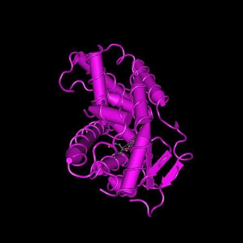 Crystal Structure of T3-bound Thyroid Hormone Receptor Nascimento AS J