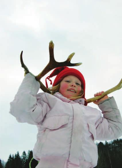 ELLO lage samisk mat og gjere greie for nokre trekk ved samisk matkultur (etter 7. årstrinn) lage mat i naturen og bruke naturen som ressurs (etter 7.