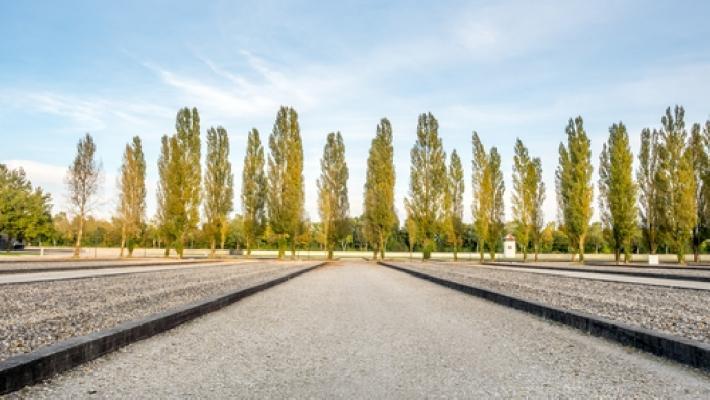 Dachau var den første tyske konsentrasjonsleiren Starnberger See (35.4 km) Den vakre innsjøen har alltid vært et velbesøkt pustehull for Münchens travle innbyggere.