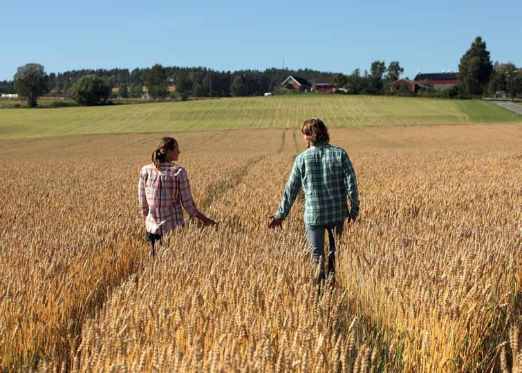 Fosfor- og kaliumrik gjødseltype tilpasset delgjødsling i korn YaraMila Fullgjødsel 20-4-11 er