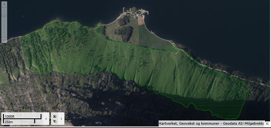 (Foto; Bioreg AS ). Figur 7. Lokaliteten er merka med grønt. Ortofotoet er frå 2013.