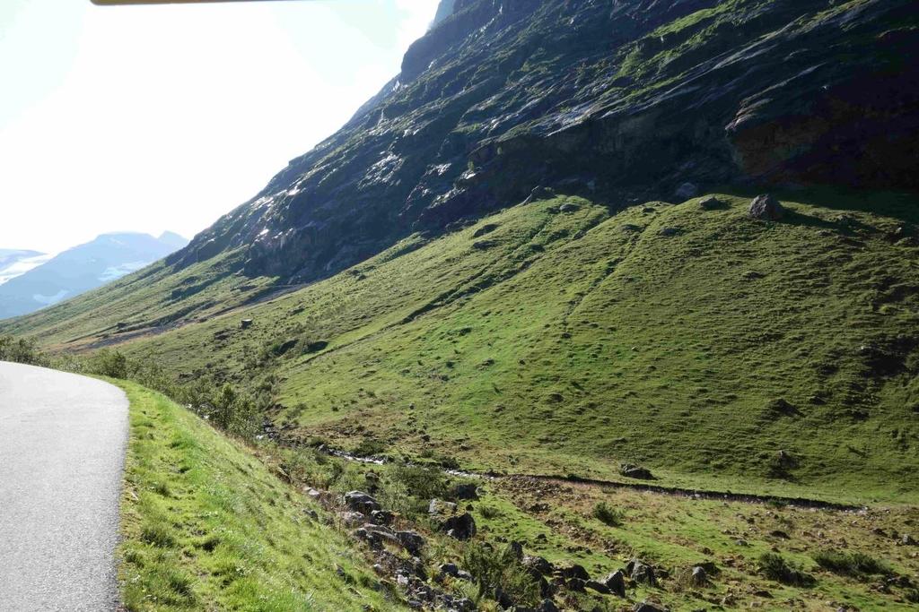 21 Figur 10. Parti sør for Stavbergvatnet med store område med beita rasmarksenger. (Foto; Bioreg AS ). Figur 11.