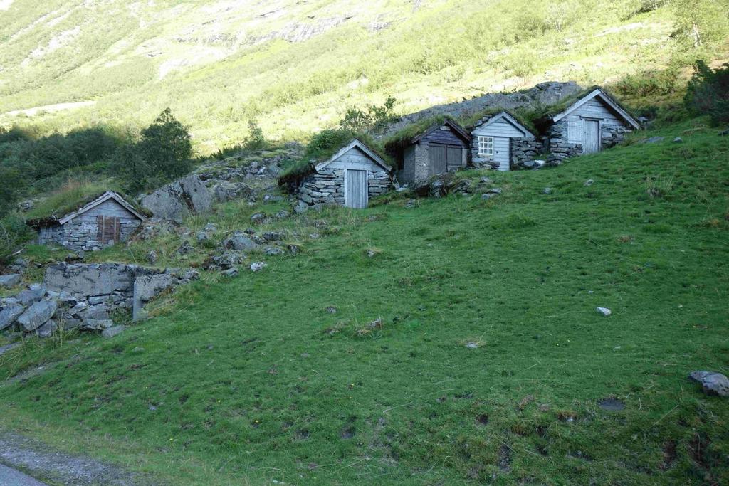 (Foto; Bioreg AS ). Figur 16. Seterhusa på Stavbergsetra.