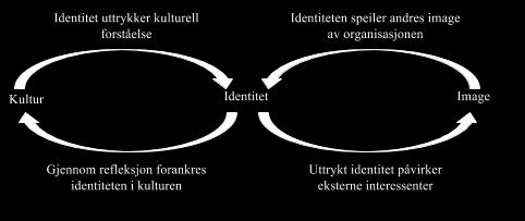 meningene som det virker som flest folk tror på, fordi man antar at folk misliker å stå alene med sine standpunkter og frykter sosiale isolasjon dersom de uttrykker holdninger som strider mot den