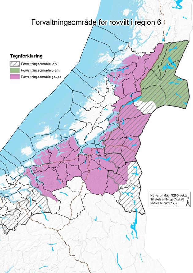 Stortingsforliket fra 2011 vedrørende norsk rovviltpolitikk slår fast at det ikke skal være rovdyr som representerer et skadepotensiale i prioriterte beiteområder for husdyr og kalvingsområder for