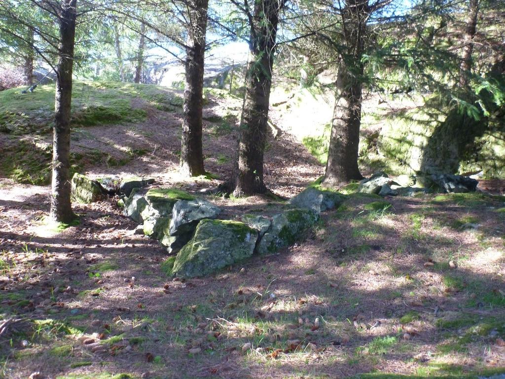 Dei som budde her og dreiv jorda i Garnvika og Kleiva, ville vore fiskarbønder. Dei driv med både jordbruk og fiske. Det er gjort to prøvestikk i den nordvestlige delen av Lokalitet Garnvikmyra.