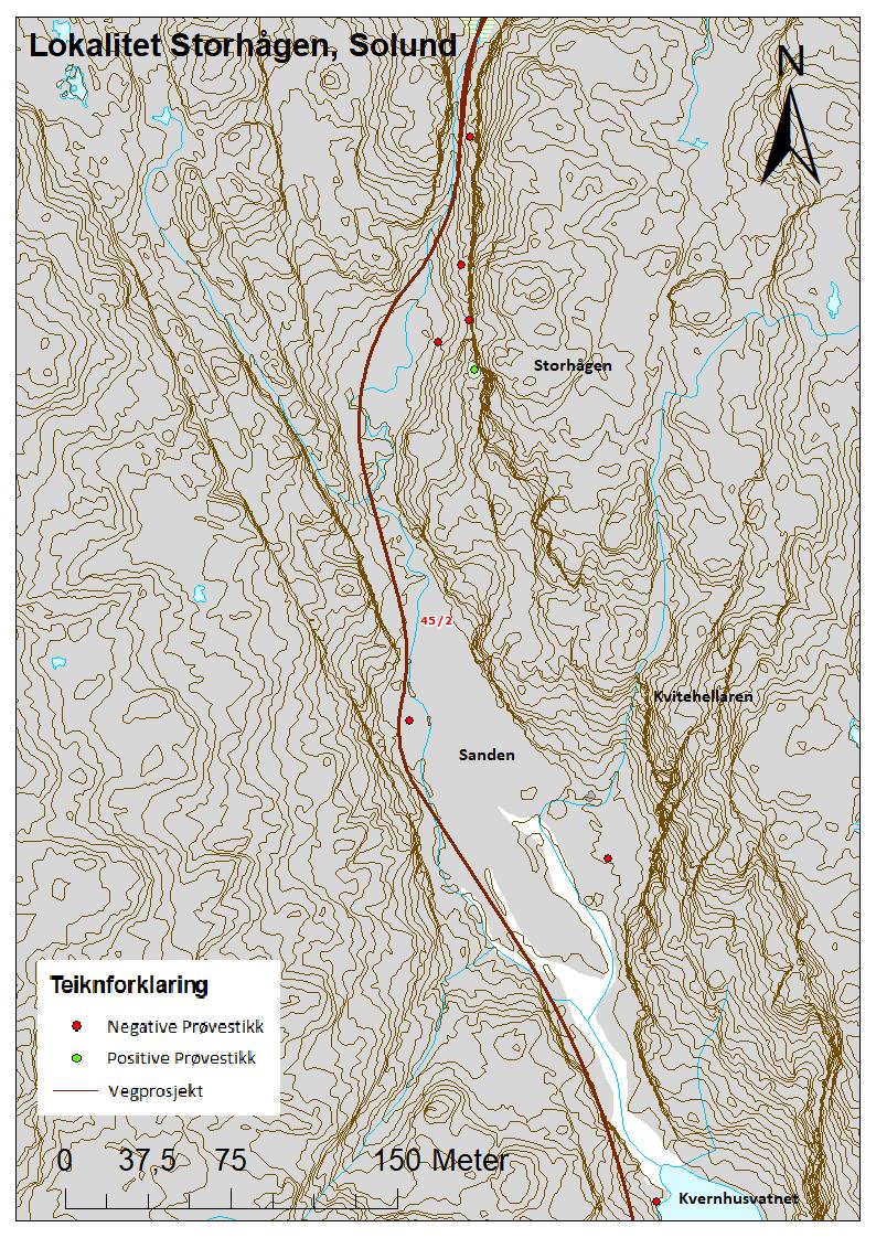 Figur 9 Oversyn over området rundt Storhågen Både skråninga opp til Lokalitet Storhågen og sjølve lokaliteten er veldig tilgrodd med einerkratt.