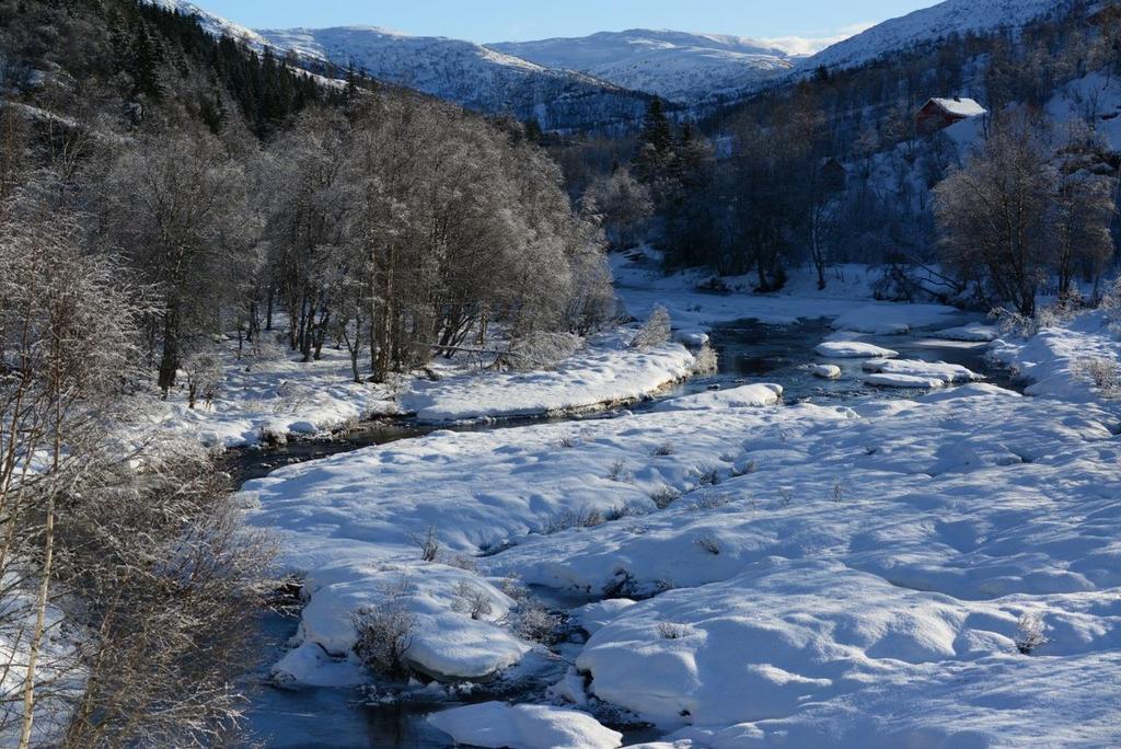 Bergsdalselv ved Øye Målepunktet i Bergsdalselven ved Øye, ligger omtrent 3 km nedenfor kirken ved Lid, akkurat i utløpet av terskelen under veibroen over elven.