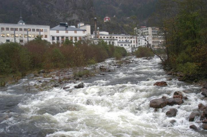 Daleelv før utløp kraftverk Daleelven er utløpselven fra Storefossdammen oppe i Bergsdalen, og renner 2,5 km nedover til et drikkevannsmagasin oppom tettstedet Dale.