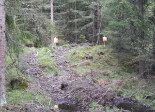 Som en konsekvens av at deltakelsen er lavere på høstløpene, så ble det bestemt at en av deltakerne i det siste løpet skulle premieres.