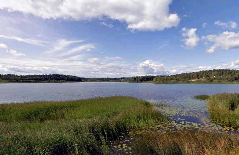 Foto Google Street View Midtsjøvann naturreservat Kartlegging av