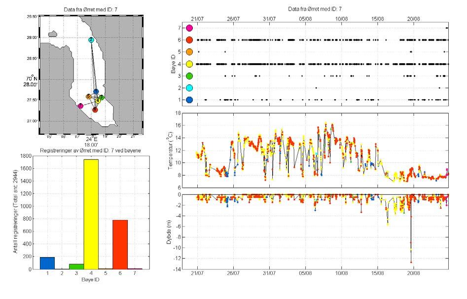 Vedlegg A. Vandringsmønster for enkeltfisk sensommeren 2 i Repparfjorden Figur. Vandringsmønster til sjøaure ID /, med lengde 33cm. 2. august er den nede på 2 meter dyp, men mesteparten av tiden oppholder den seg i de øvre vannlag.