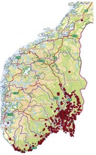 4.2.3 Utbredelse i Nord-Trøndelag Myrkongle har en isolert forekomst i Snåsa, som er den nordligste lokaliteten i Norge.