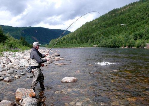 Laks og verdiskaping i elvene rundt Trondheimsfjorden Økt oppgang av laks i elvene- redusert notfiske i fjorden Biologisk og økonomisk evaluering Økt innovasjon