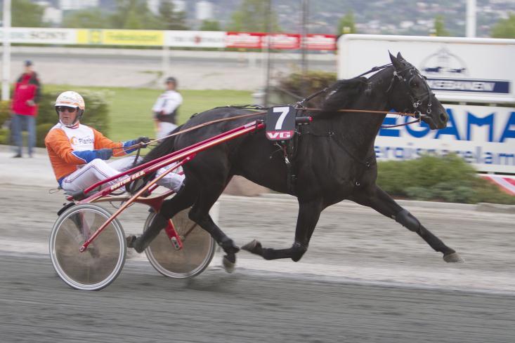 Avstamning: Far: Credit Winner (US) (f.97) 10,6a/ $ 1,5 mill e. American Winner var selv i årgangstoppen som to- og treåring. Han vant bl.a. Walnut Hall Cup, Kentucky Futurity og Old Oaken Bucket.