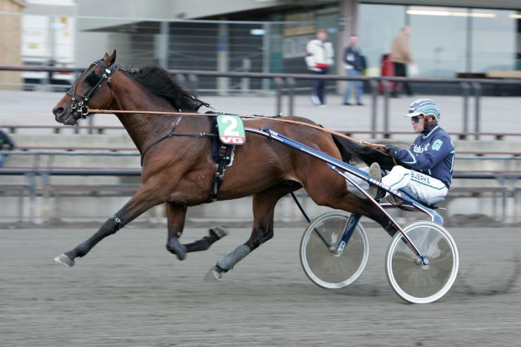 Avstamning: Far: Coktail Jet (F) (f.90) 10,7a/ 1 896 773 e. Quouky Williams har bl.a. vunnet Prix d Amerique, Prix de France, Prix de l Atlantique, Elitloppet, Prix de Criterium des 5 ans, Prix Rene Balliere, Prix d Etoile og Prix d Europa.