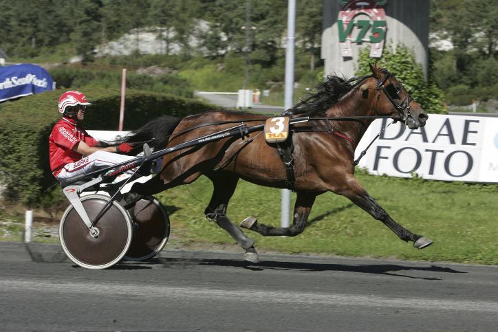 Avstamning: S.J. s Photo (US) var selv en meget god løpshest som tjente over 1.3 mill USD og tok rekord *10,2a. Han vant totalt 43 seire i karrieren. S.J. s Photo s første avkom er født i 1997.