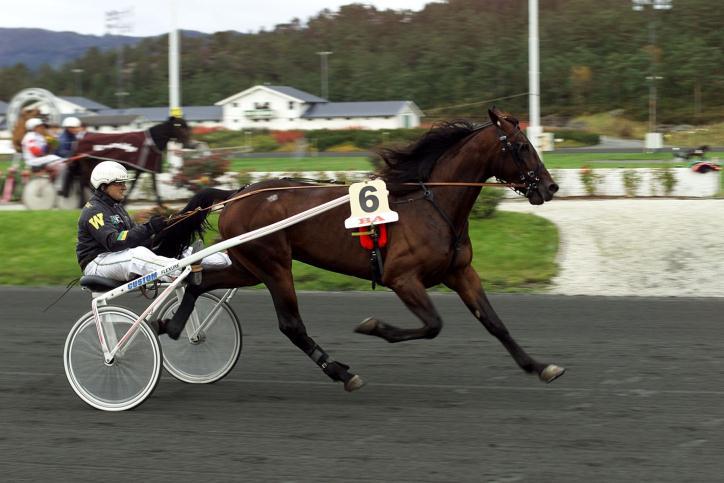 Avstamning: Pine Chip (US) T1:51 $1.693.263. Vant som 3-åring Breeders Crown, World Trotting Derby, Matron Stake, Kentucky Futurity, Beacon Course Trot og The Colonial. Var nr. 2 i Hambletonian.