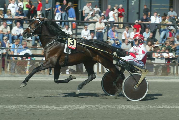 Avstamning: Super News (US) 12,9a/859.040 startet sin løpskarriere med å vinne 2 Pennsylvania Sires Stakes i USA som 2-åring og bli nr. 3 i Bluegrass Stakes.