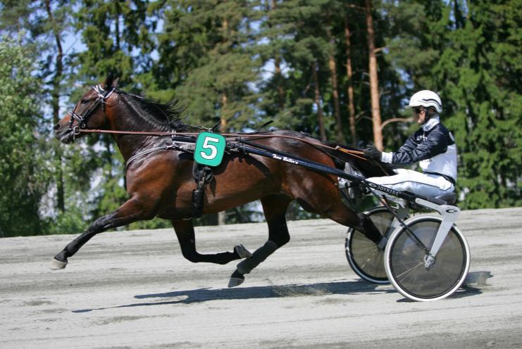 Avstamning: Far: Italienskfødte Viking Kronos, født 1995 (e. American Winner (US)), 3-12,1a/SEK 5.978.465 vant 12 av 14 starter i sin karriere.