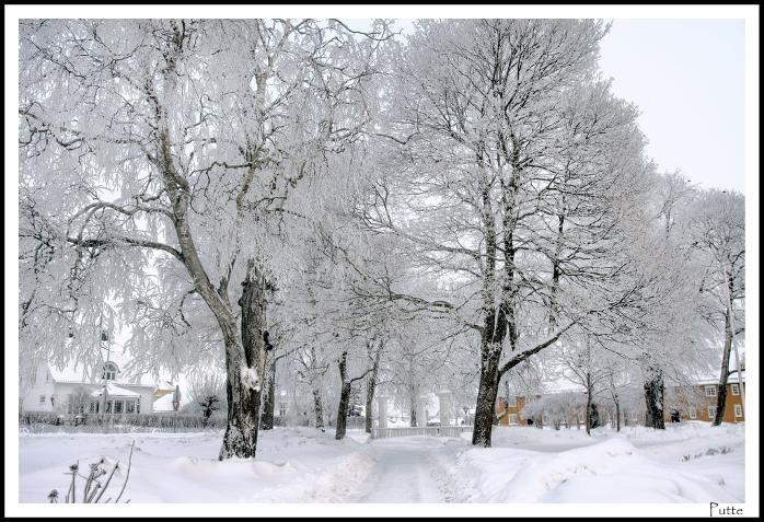 Kjære alle mine søstre. Nå er det snart jul, og vi nye embedsmenn har begynt å bli litt "varme i trøya". Høsten har vært travel med 50 års Ve.Ju,