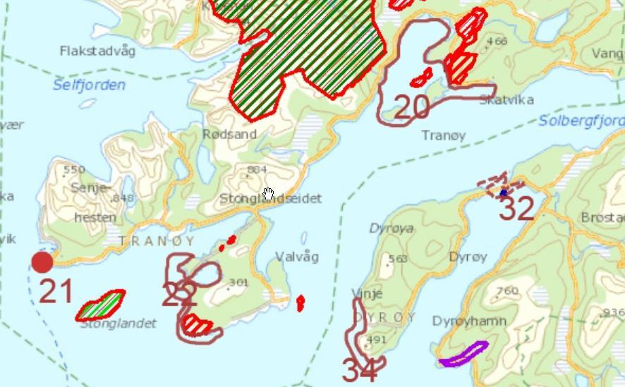 21 Friluftsliv 22 Friluftsliv 20 Friluft/na tur Senjehesten, friluftsområde, båt og strandliv, bading, sjøfiske Hofsøy- Stangnes, område som er mye brukt som friluftsområde, populære