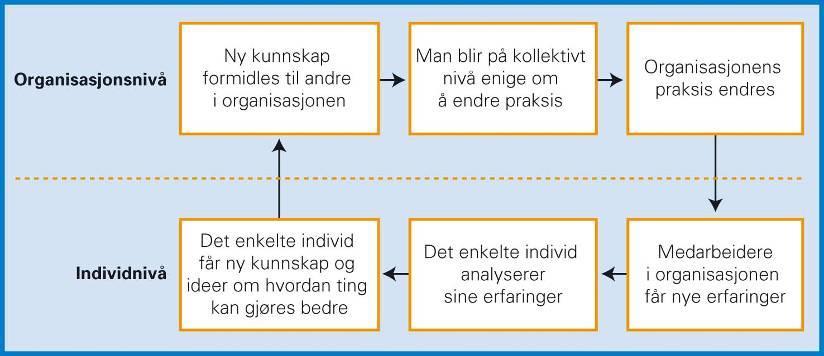 Fra individuell erfaring til kollektiv endring av