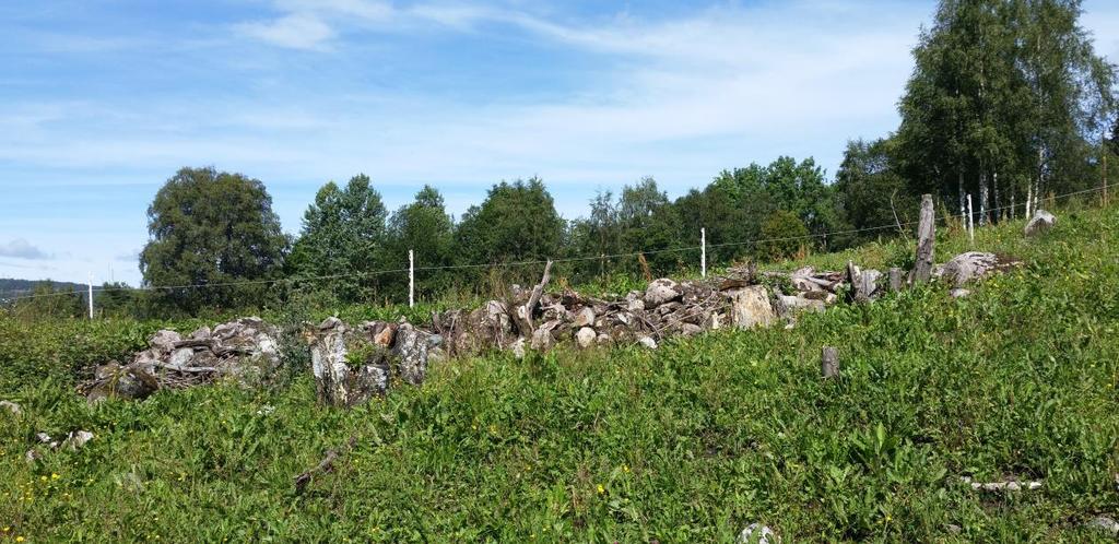 Steinene er lett mosekledde og av varierende størrelse, med de minste på toppen.