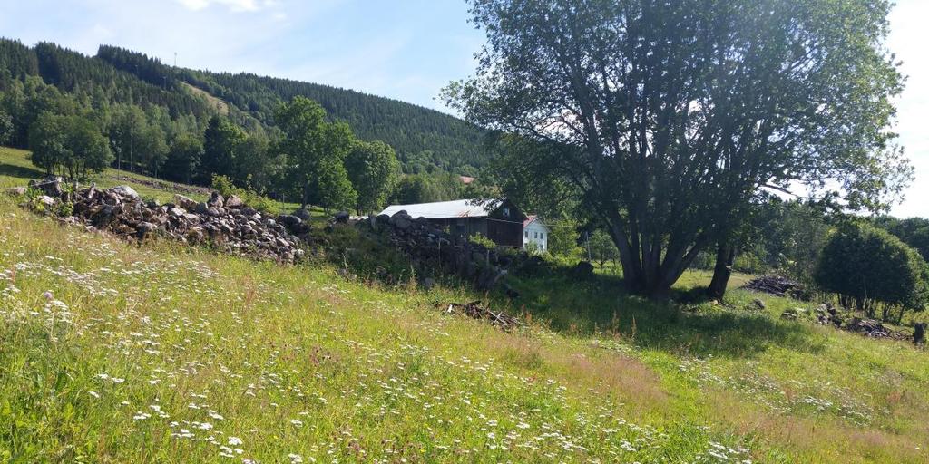 Formen er ujevn og utflytende med flere avrundede topper. Steinene er ikke stablet, men tilfeldig ryddet.